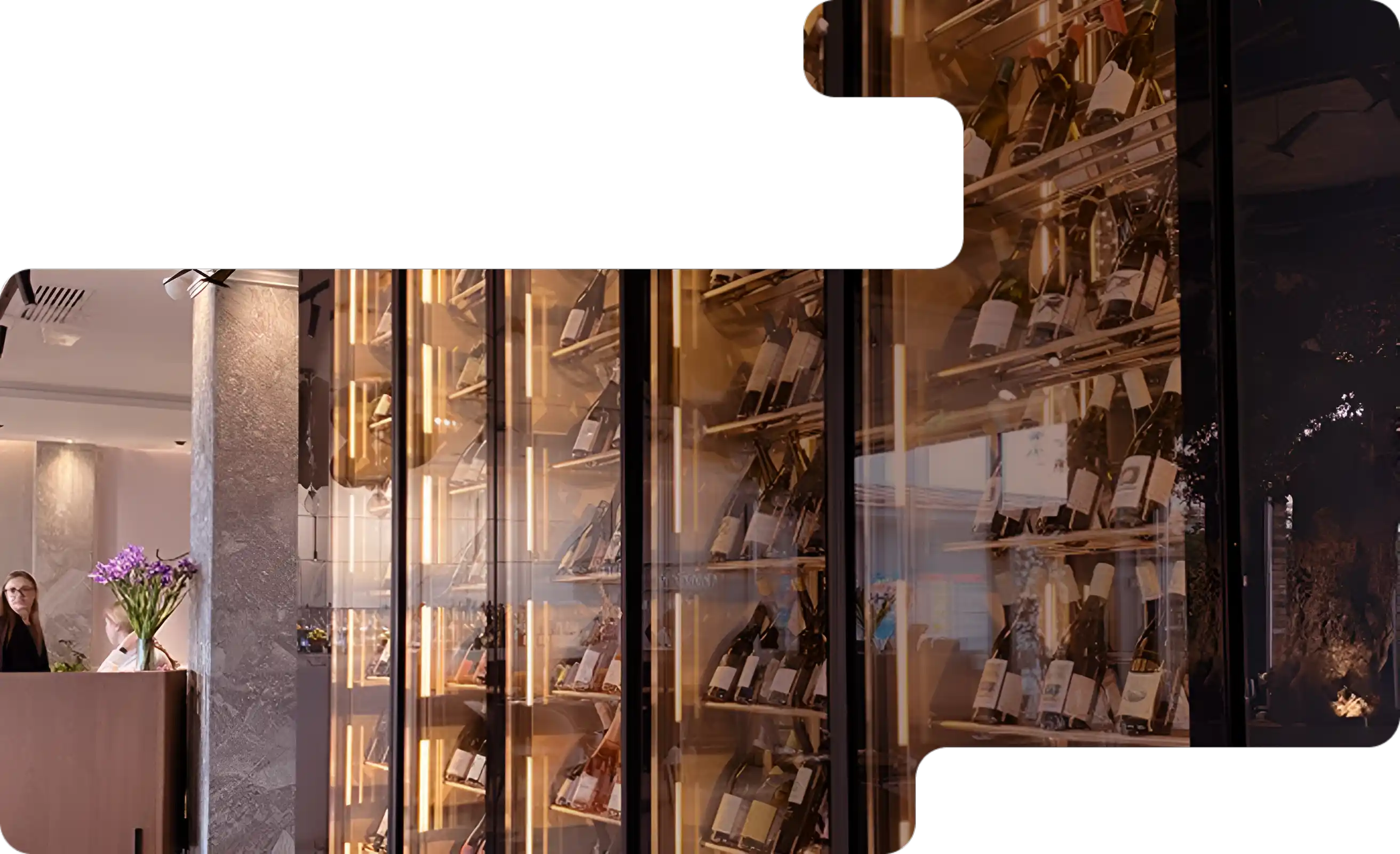 холодильник для шуб